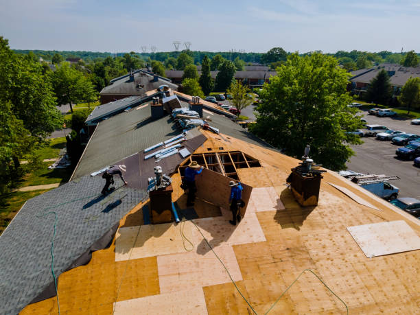 Trusted Roof Replacement service in Thompsons, TX - Brentwood Metal Roofing
